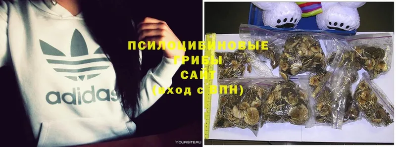 магазин    Алупка  Галлюциногенные грибы MAGIC MUSHROOMS 